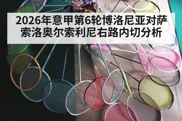 2026年意甲第6轮博洛尼亚对萨索洛奥尔索利尼右路内切分析